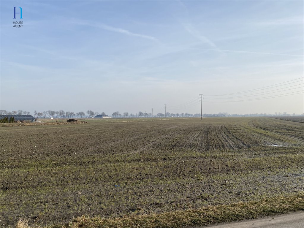 Do sprzedania działki rolne 56 832 m² w malowniczej okolicy Uniejów, Polna  56 832m2 Foto 1