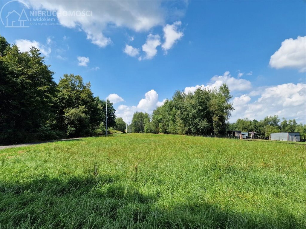 Działka budowlana na sprzedaż Łomna  1 347m2 Foto 3