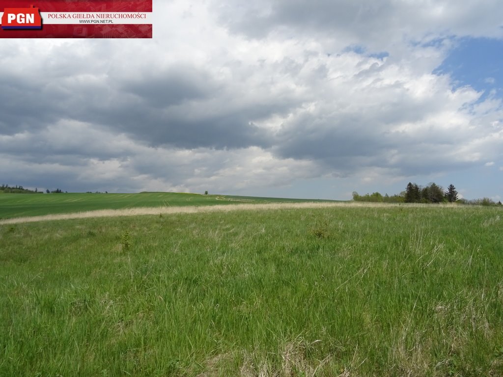 Działka budowlana na sprzedaż Kłodzko  2 900m2 Foto 3