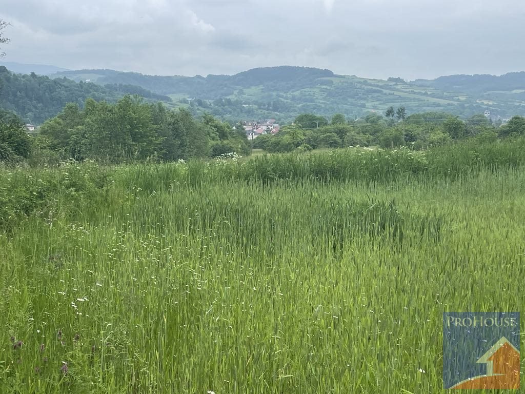 Działka rolna z widokiem na Mogielicę, 20 ar, Kamienica Kamienica  2 000m2 Foto 1
