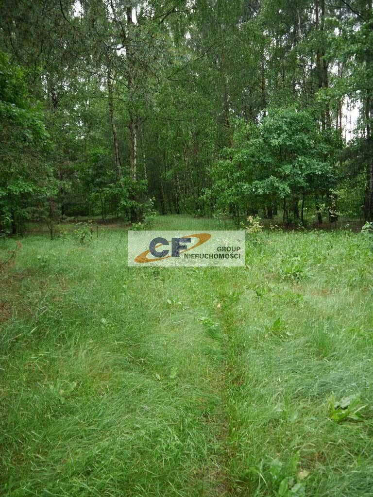 Działka rolna z własną drogą, las, spokój, 14600 m2 Badów Górny  14 600m2 Foto 1