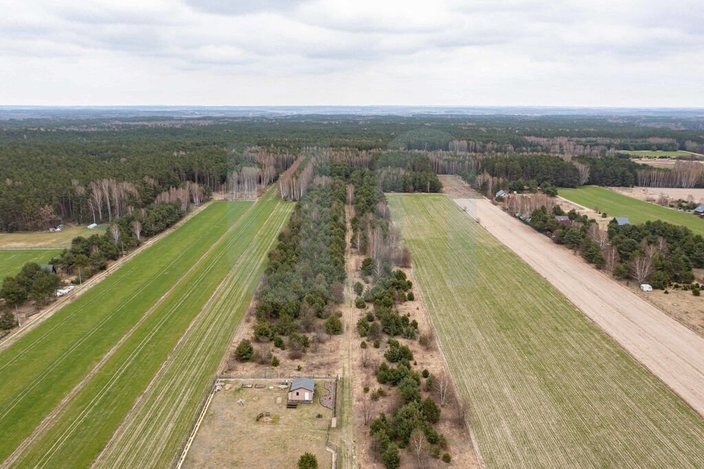 Działka budowlana na sprzedaż Królewo  3 000m2 Foto 7