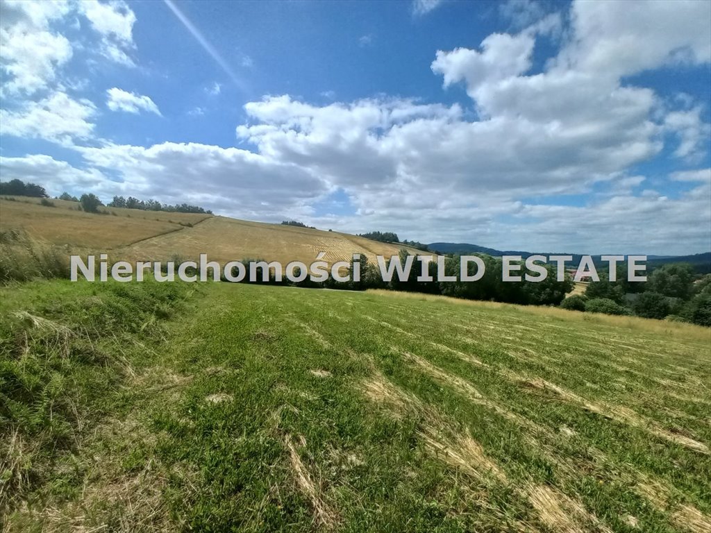 Działka budowlana 65 ar z widokiem, media, do własnej zabudowy Lesko, Średnia Wieś  6 521m2 Foto 1