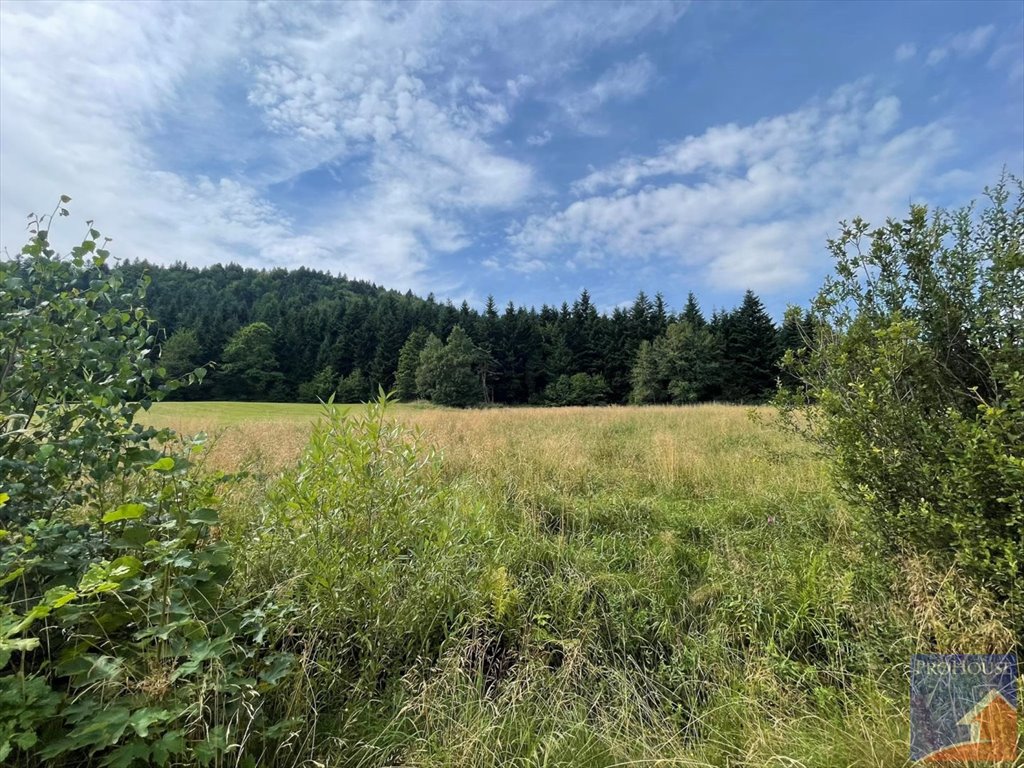 Działka 600 m2 w Porąbce z dojazdem gminnym Porąbka  600m2 Foto 1