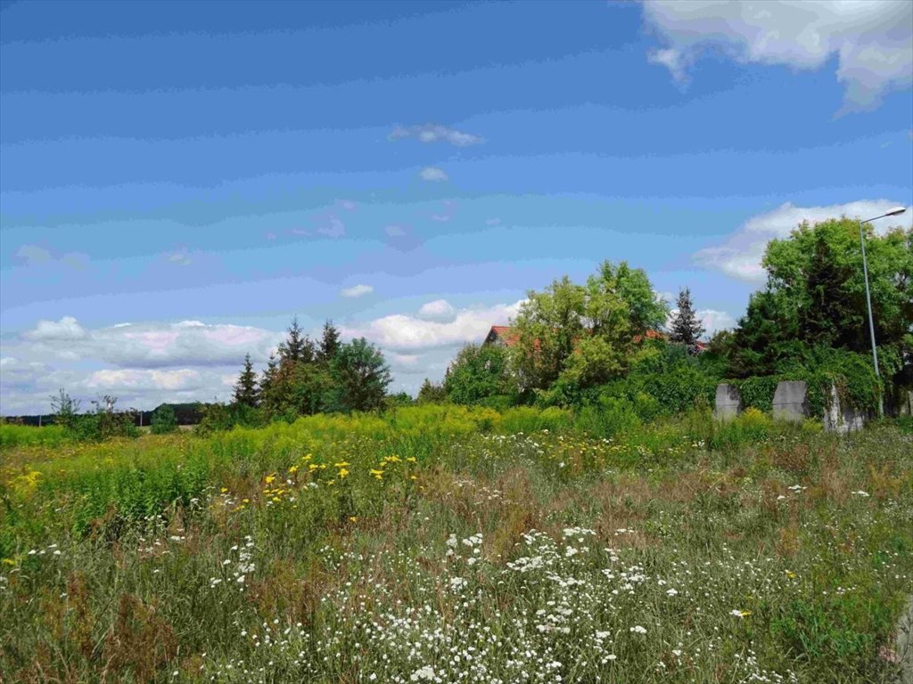 Działka budowlana na sprzedaż Sowinki, Miętowa  1 644m2 Foto 8