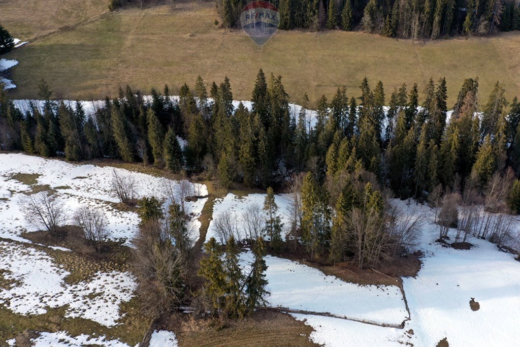 Działka rolna na sprzedaż Leśnica  3 665m2 Foto 7