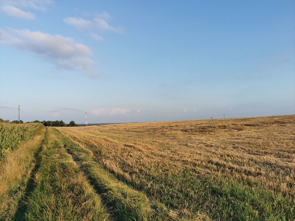 Działka inna na sprzedaż Jastrowie, Jastrowie  71 618m2 Foto 14