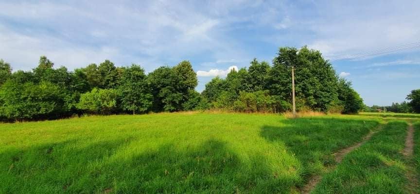 Działka budowlana na sprzedaż Korfowe  7 000m2 Foto 1