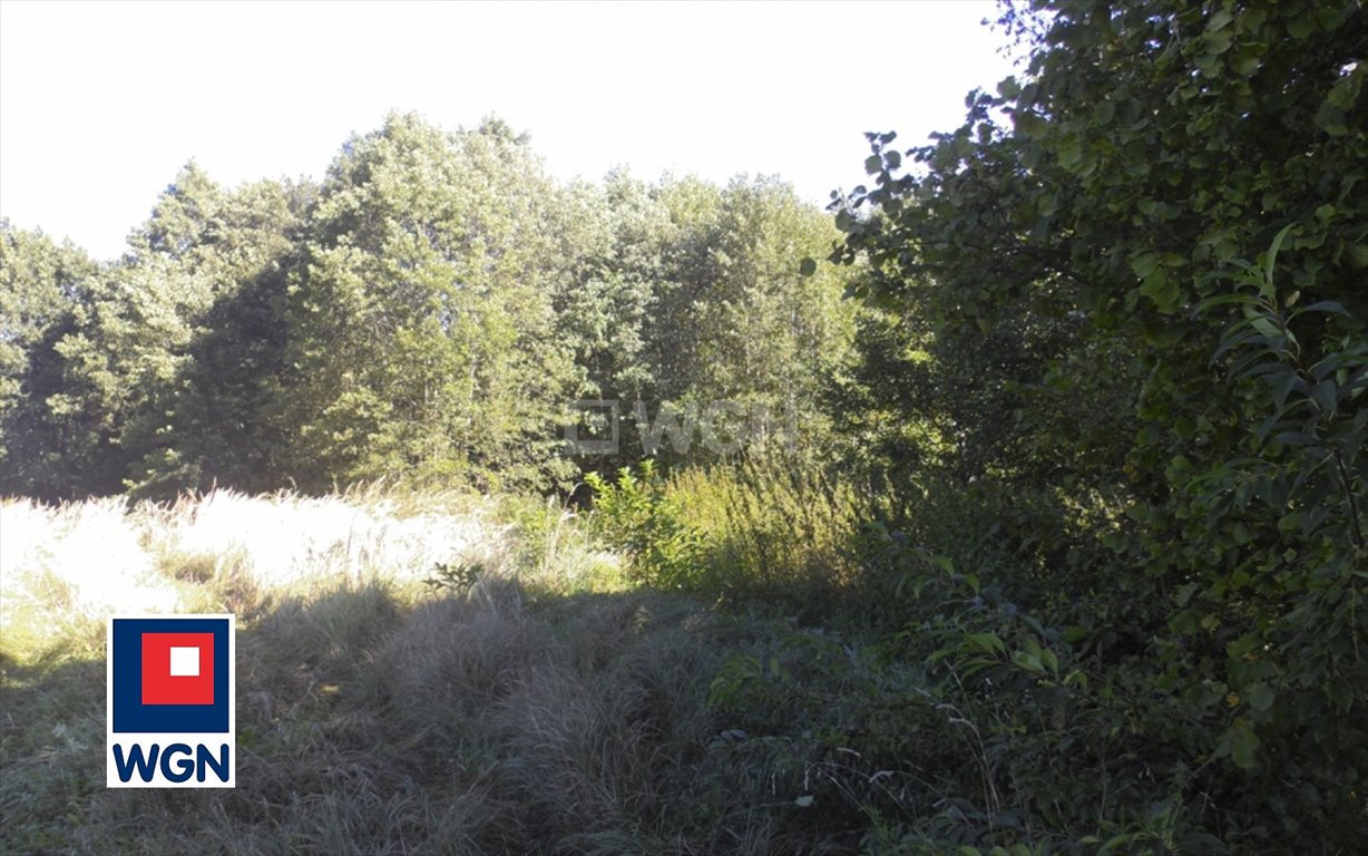 Działka 15 740 m² pod zabudowę i rolnictwo w Szarlejce Szarlejka, Łukasiewicza, Łukasiewicza  15 740m2 Foto 1