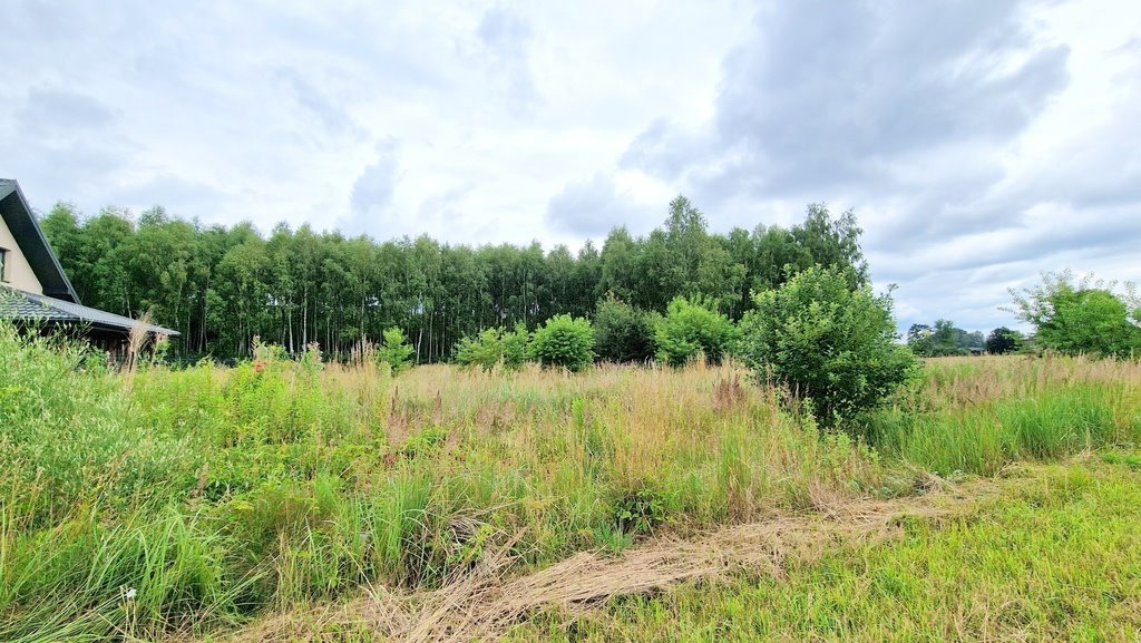 Działka budowlana na sprzedaż Gruszewnia, Górna  3 001m2 Foto 5