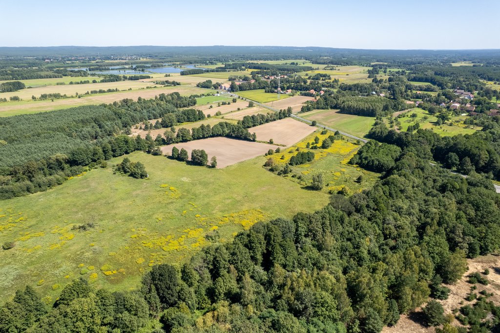 Działka inna na sprzedaż Kuźniczysko  9 900m2 Foto 4