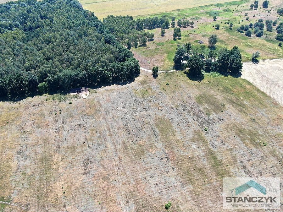 Działka budowlana na sprzedaż Stepnica  3 000m2 Foto 1