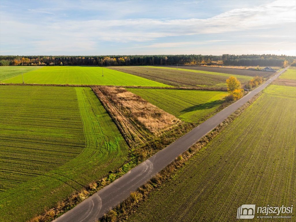 Działka rolna na sprzedaż Glewice, centrum  2 777m2 Foto 6