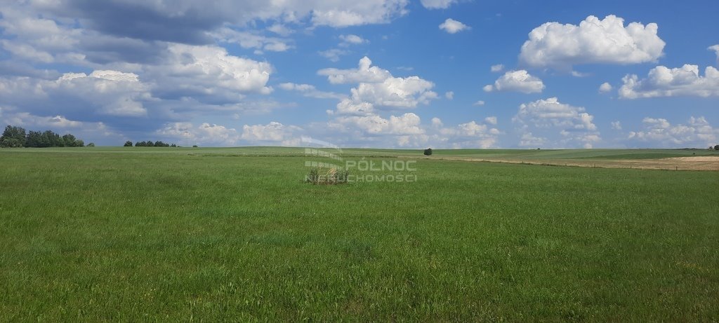 Działka rolna na sprzedaż Dobrzyniewo Kościelne  7 985m2 Foto 4