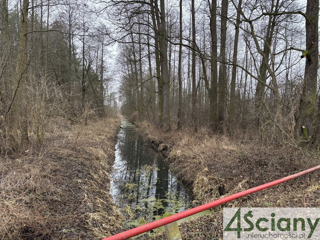 Działka rolna na sprzedaż Stare Polesie  3 000m2 Foto 5