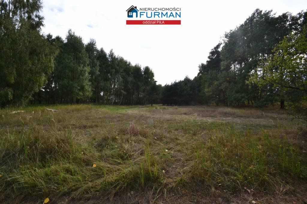 Działka siedliskowa 2,86ha z lasem, prąd i woda, płaska Biała  28 600m2 Foto 1
