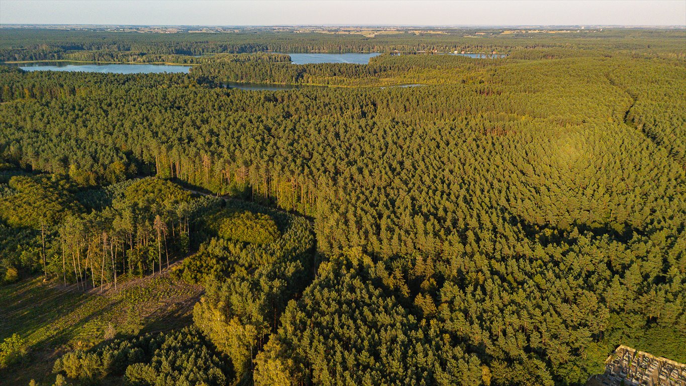 Działka budowlana na sprzedaż Zbiczno, Ciche  1 114m2 Foto 17