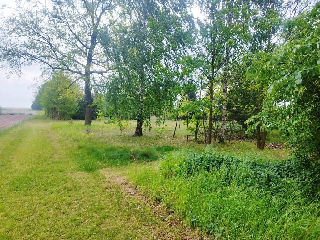 Działka 18 923 m² z częścią budowlaną i leśną w Woli Zbrożkowej Wola Zbrożkowa  18 923m2 Foto 1