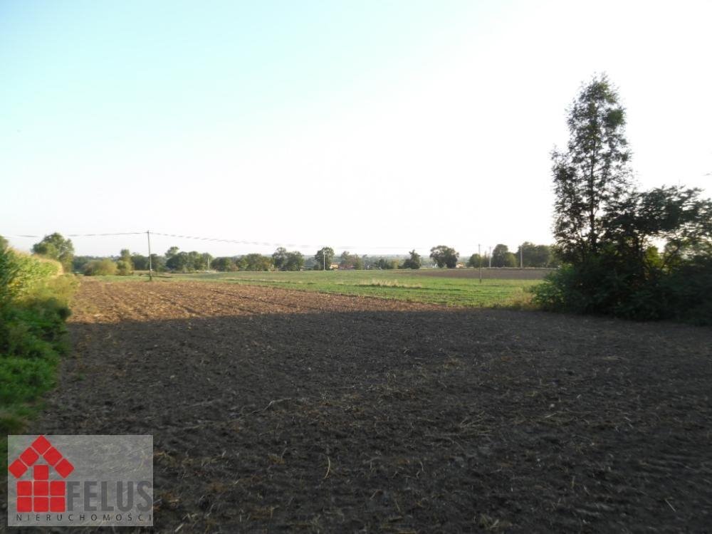 Działki rolne 1,7 ha z dojazdem, media, panorama Prandocin  17 000m2 Foto 1