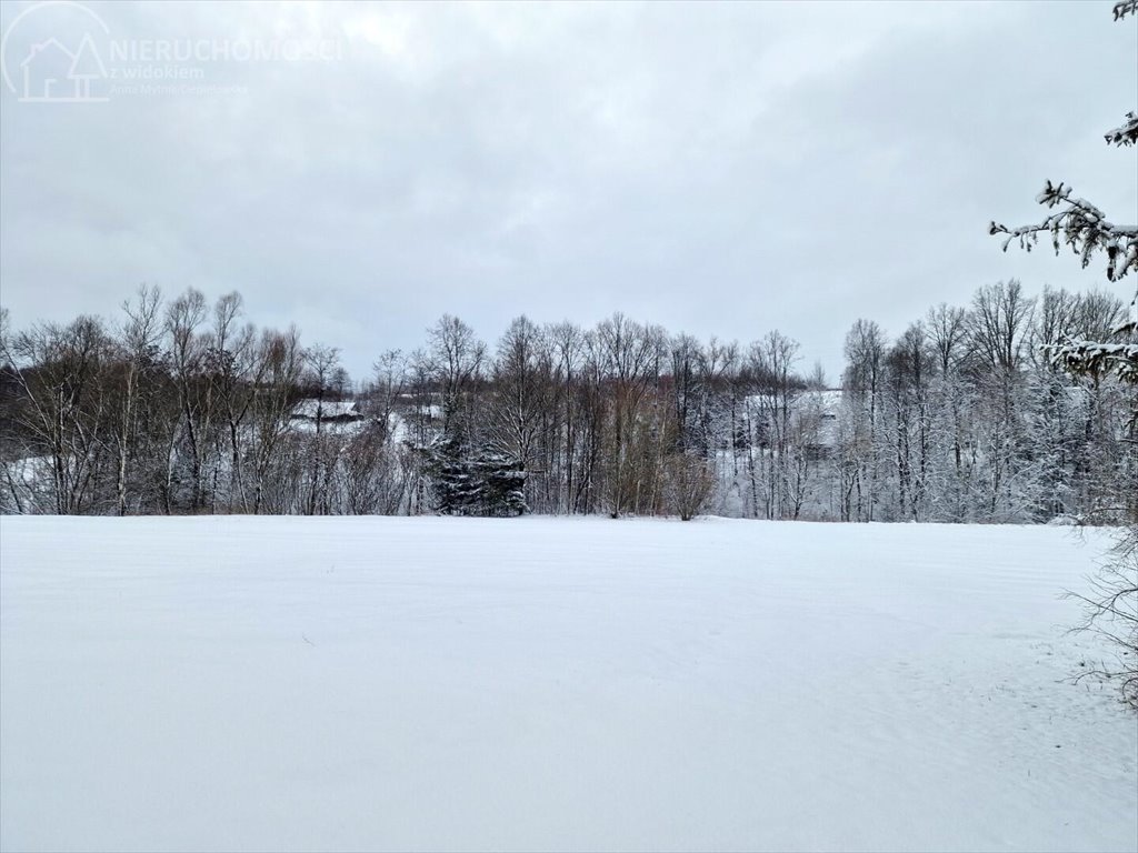 Działka rolna na sprzedaż Rzepiennik Marciszewski  15 000m2 Foto 14