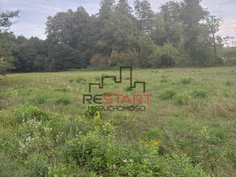 Działka budowlana na sprzedaż Puszcza Mariańska  1 200m2 Foto 5