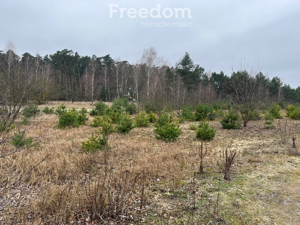 Działka budowlana na sprzedaż Czarne Błoto  916m2 Foto 2