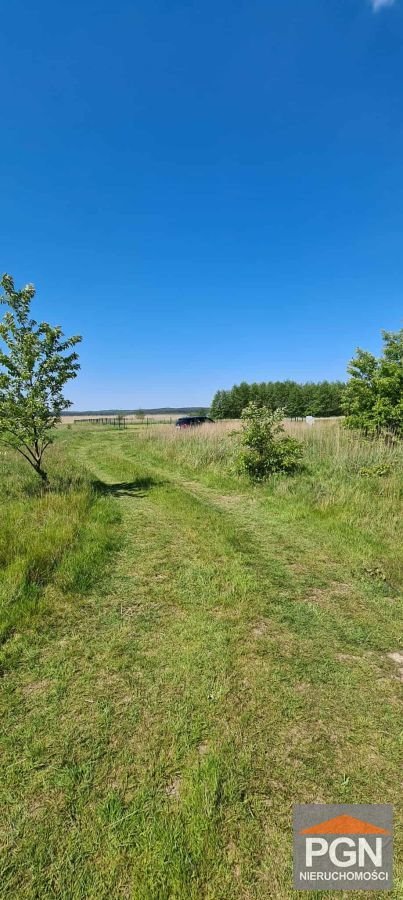 Działka 1292 m² pod zabudowę rekreacyjną lub mieszkalną polecam! Rekowo  1 292m2 Foto 1