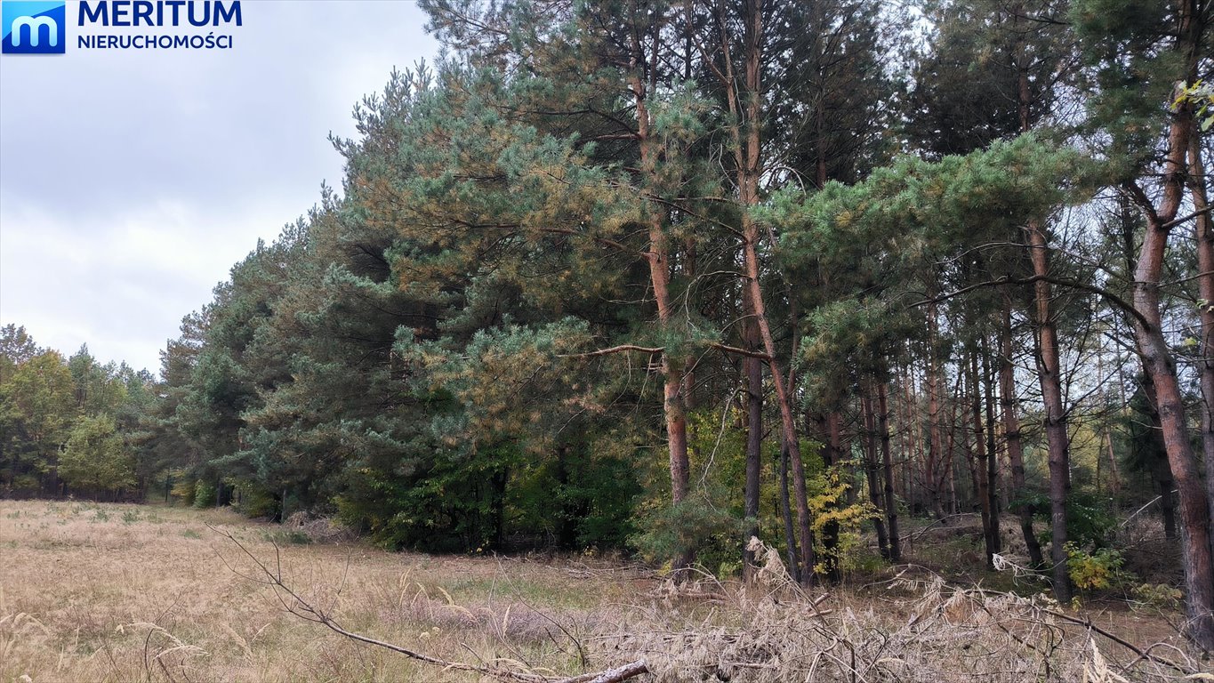 Działka rolna 13 500 m² w Skułach (spokój, natura) Skuły  13 500m2 Foto 1