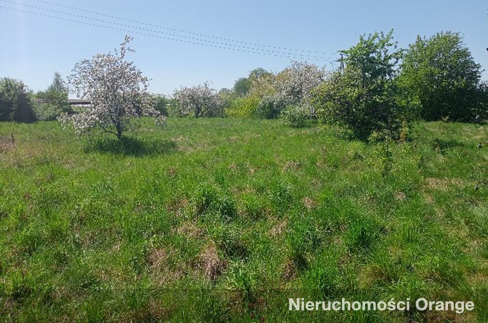 Duża działka inwestycyjna 6925 m² przy drodze krajowej - polecam! Majków Średni, Majków Średni, gm. Grabica  6 925m2 Foto 1