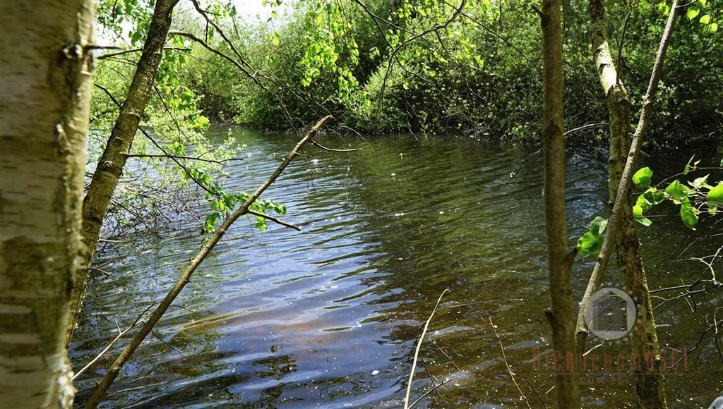 Działka budowlana na sprzedaż Santocko  5 100m2 Foto 2