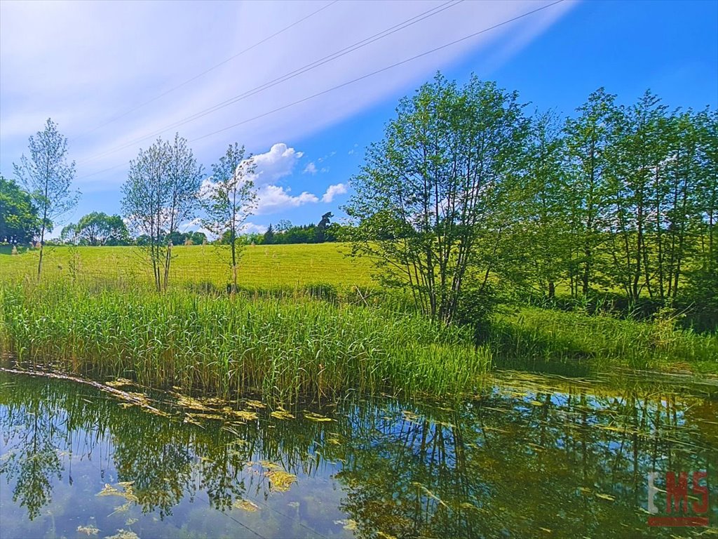 Działka inna na sprzedaż Morąg  2 925m2 Foto 3