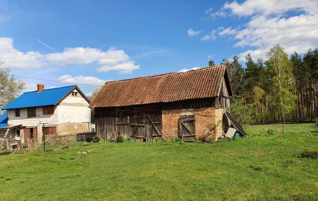 Dom na sprzedaż Sasek Wielki  75m2 Foto 8