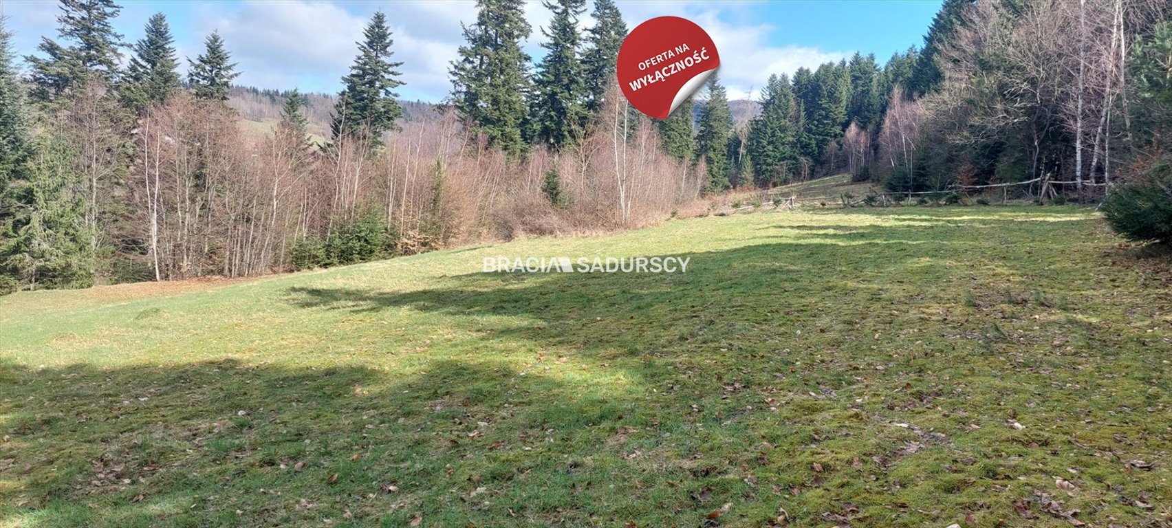 Działka siedliskowa na sprzedaż Borzęta, Myślenice, Myślenice  8 000m2 Foto 1