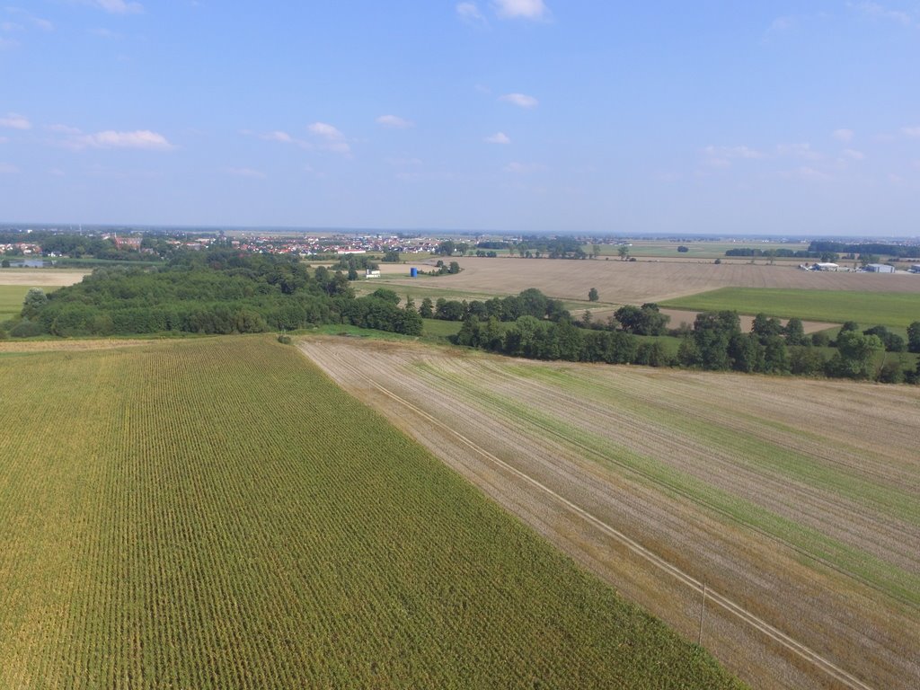 Działka budowlana na sprzedaż Dobra  1 100m2 Foto 7