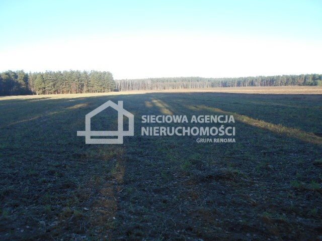Działka budowlana na sprzedaż Rokity 1 400m2 Foto 1 Działka budowlana na sprzedaż Rokity 1 400m2 Foto 1