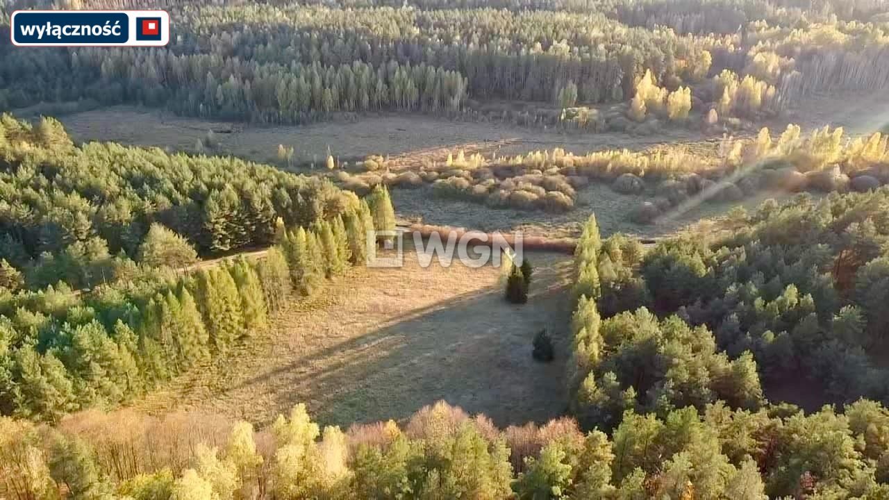 Działka rolna na sprzedaż Kuty  3 009m2 Foto 6