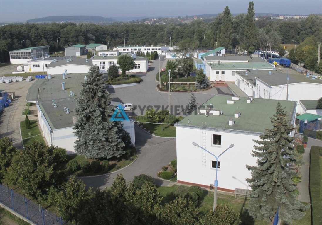 Lokal użytkowy na wynajem Pruszcz Gdański, Zastawna  400m2 Foto 2