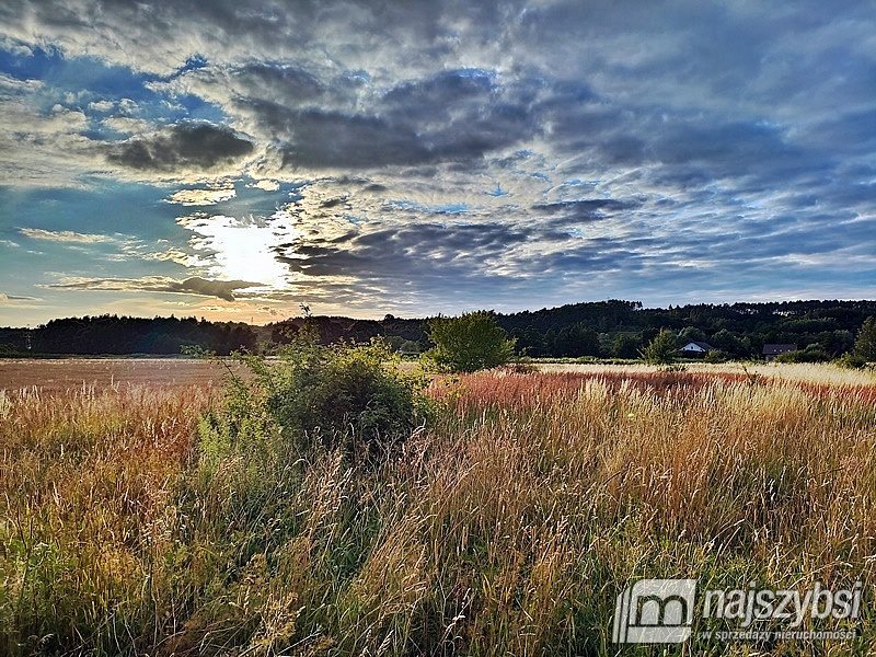 Działka rolna na sprzedaż Łupowo, Wieprzyce  2 352m2 Foto 2