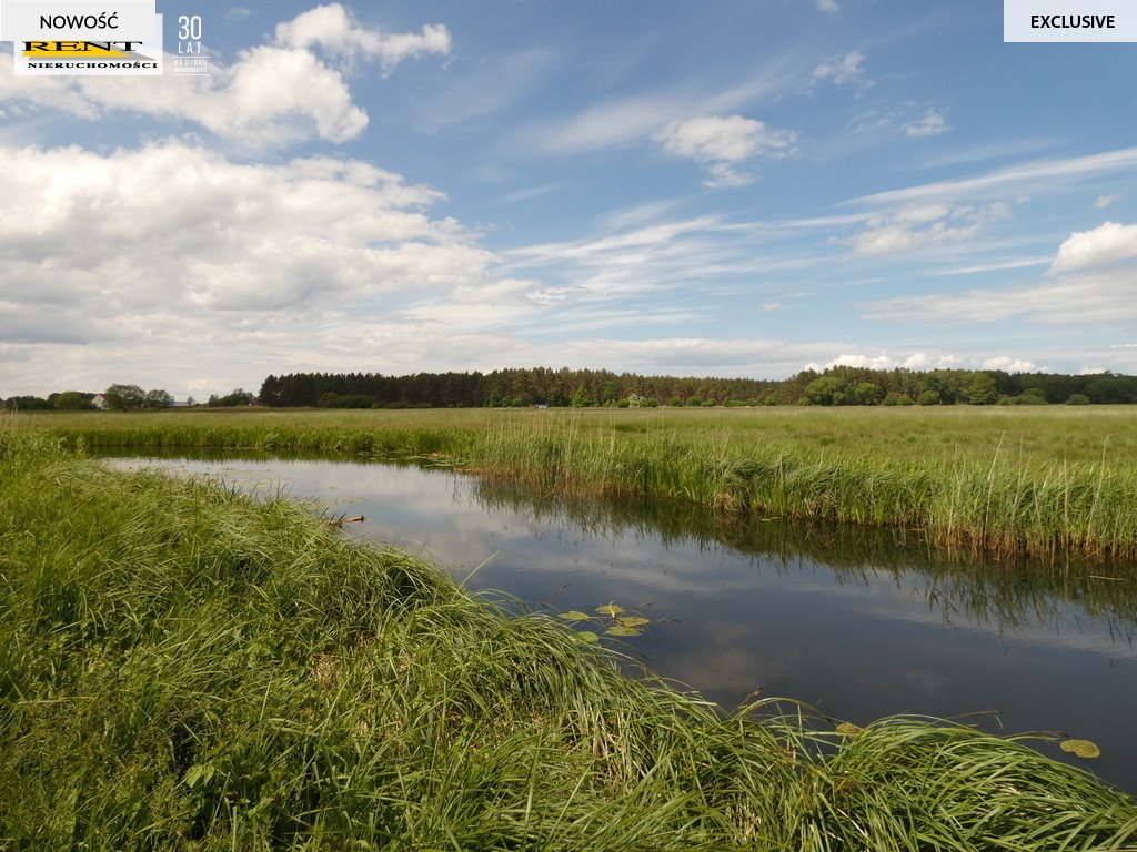 Działka z własnym stawem i warunkami zabudowy na dom Stepniczka, Barnima II  8 600m2 Foto 1