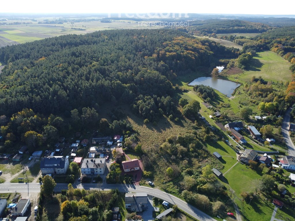 Działka budowlana na sprzedaż Żelazo  5 200m2 Foto 4