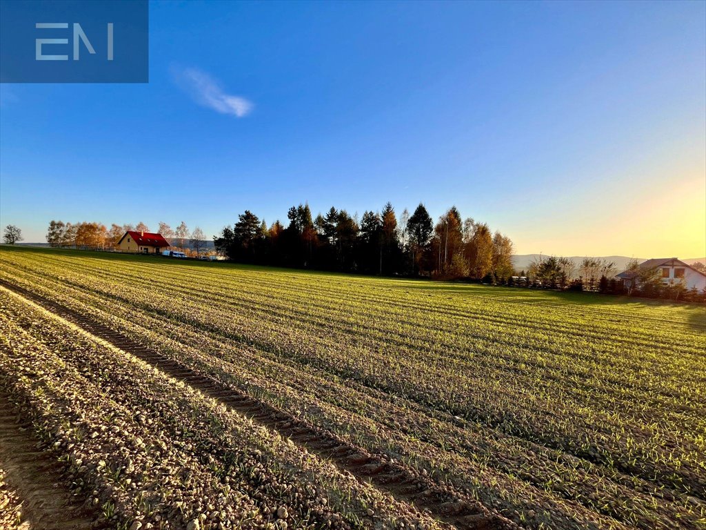 Działka budowlana na sprzedaż Gbiska  2 159m2 Foto 3