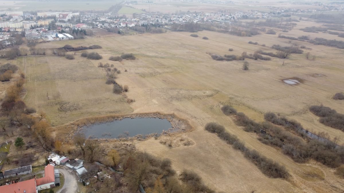 Działka rolna na sprzedaż Barcin  27 719m2 Foto 5