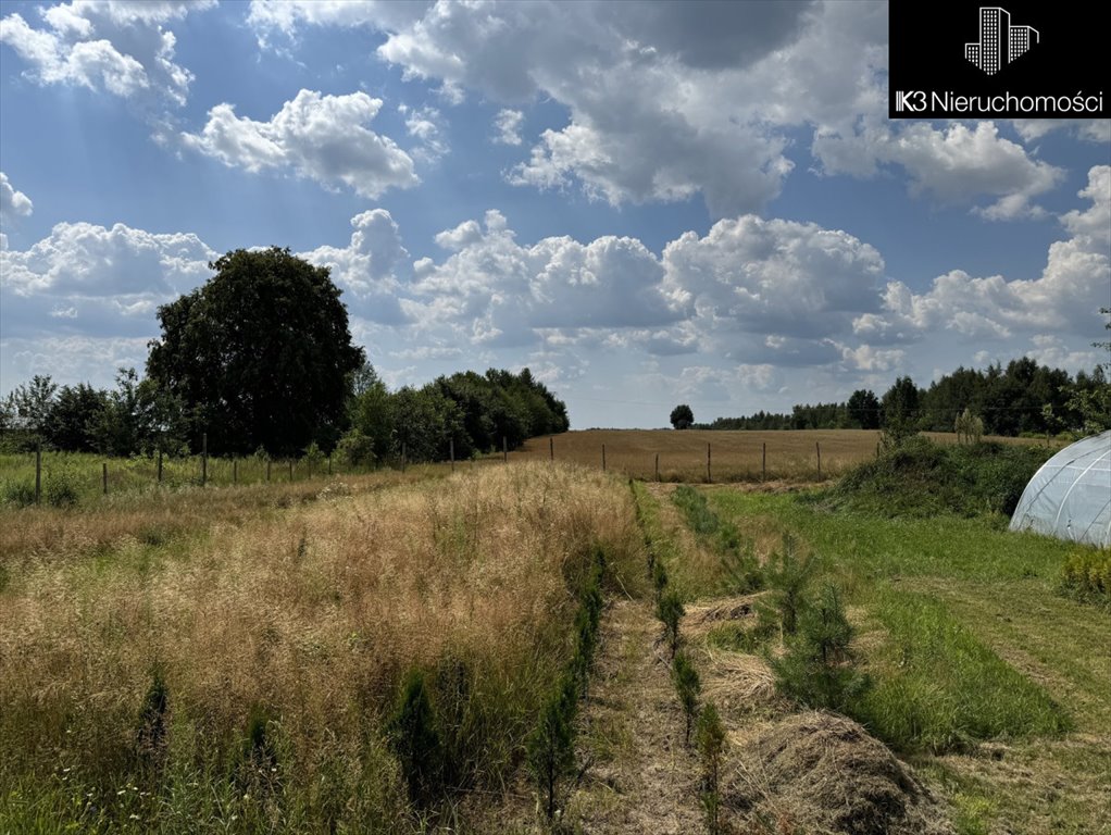 Działka przemysłowo-handlowa na sprzedaż Ujrzanów  37 000m2 Foto 7