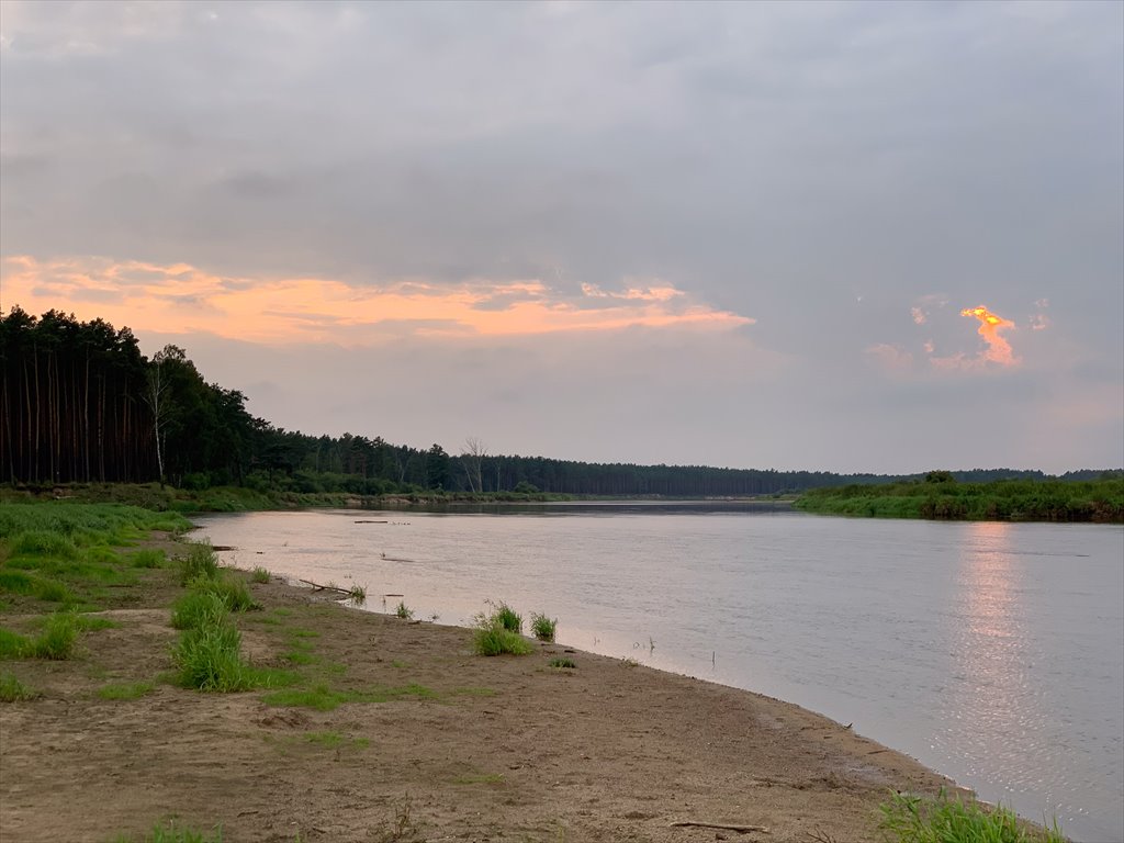 Działka rekreacyjna na sprzedaż Szumin  2 610m2 Foto 4