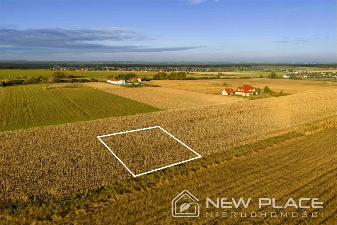 Działka budowlana na sprzedaż Brzezina, Lawendowa  1 003m2 Foto 8