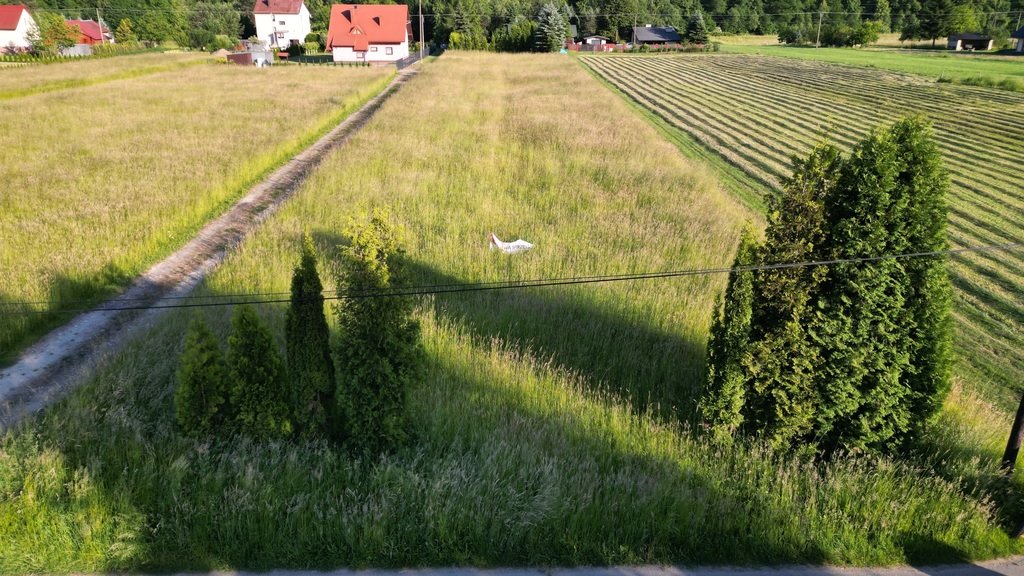 Działka budowlana na sprzedaż Rożnów  3 001m2 Foto 2