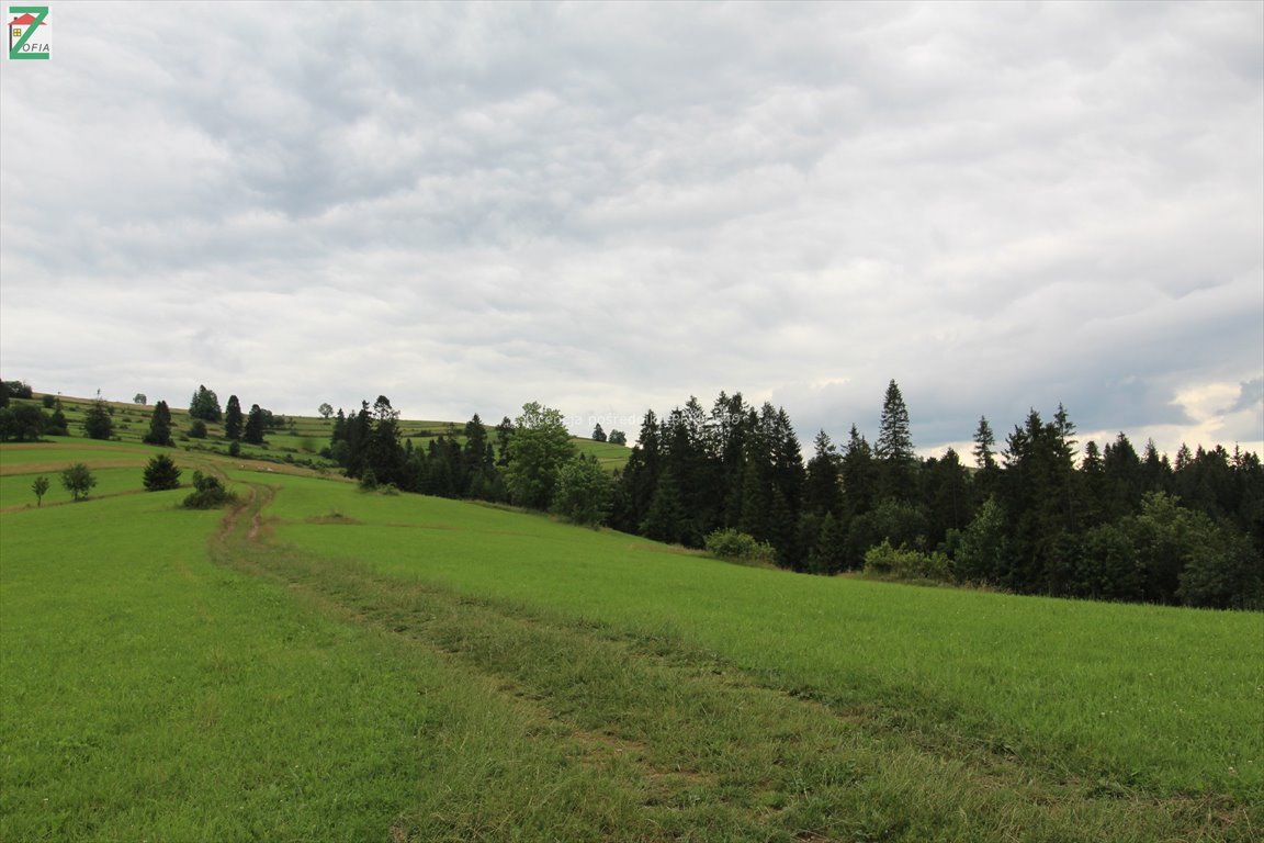 Działka rolna na sprzedaż RZEPISKA  3 500m2 Foto 7