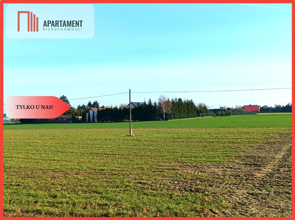 Działka gospodarstwo rolne na sprzedaż Włóki  7 000m2 Foto 3