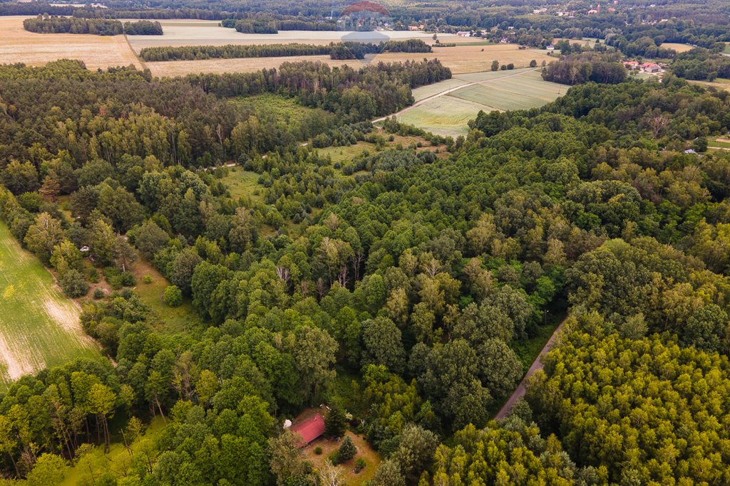 Działka siedliskowa na sprzedaż Boginia  53 419m2 Foto 8