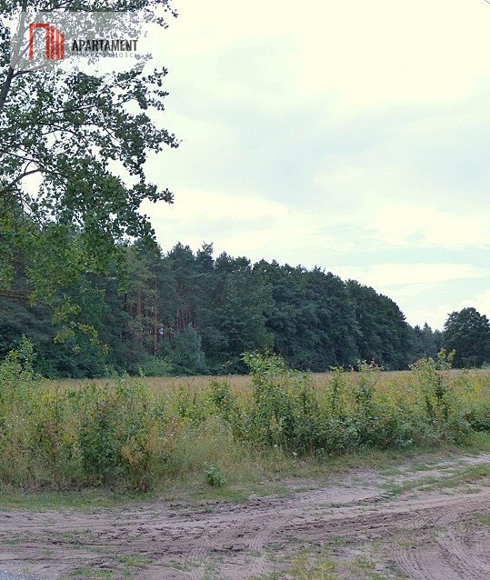 Działki budowlane 1600 m² w Ciche (blisko jezior i lasów) Ciche  1 600m2 Foto 1